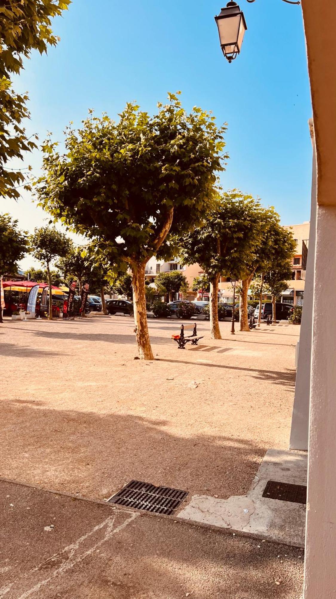 Plage / Beach / Marines De Gassin / Saint-Tropez Dış mekan fotoğraf